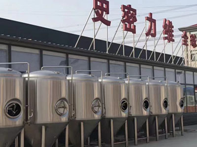 闻喜精酿啤酒设备厂—如何判断精酿啤酒设备的密封件需要更换？